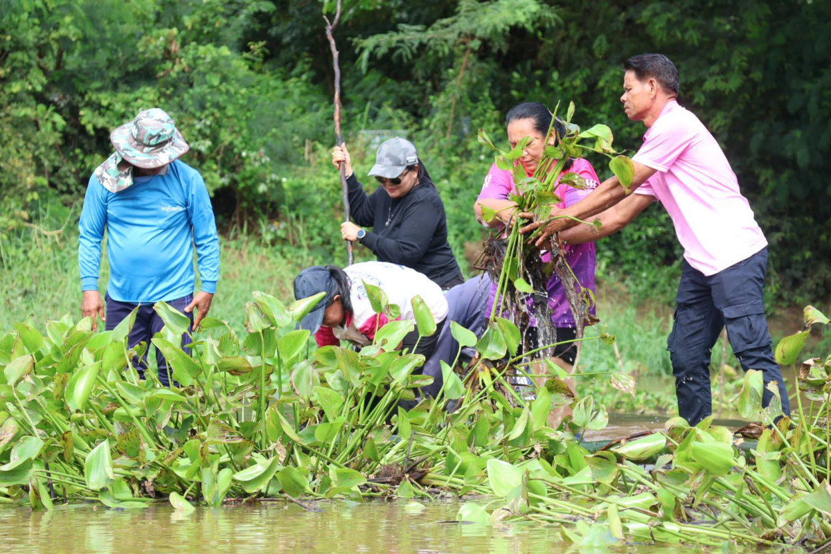ลงพื้นที่กำจัดวัชพืชในคลองเทศบาลตำบลจระเข้หิน ตามโครงการกำจัดวัชพืชในคลองเทศบาลตำบลจระเข้หิน ประจำปีงบประมาณ 2568