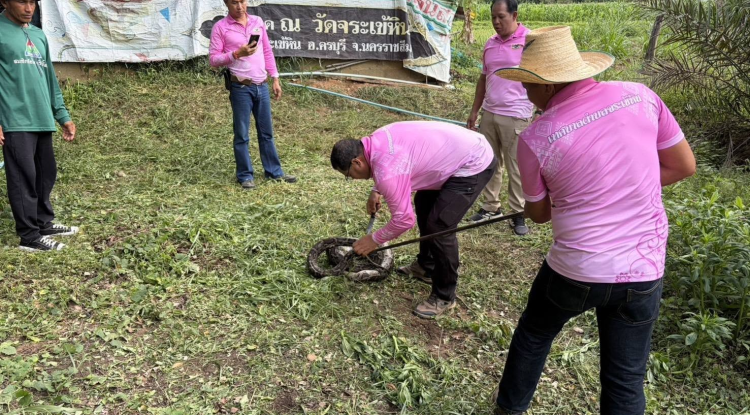 ลงพื้นที่เพื่อทำการจับงูตามคำร้องขอของประชาชน